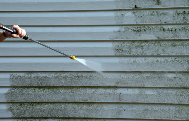 Best Building Exterior Washing  in Woodlawn, VA