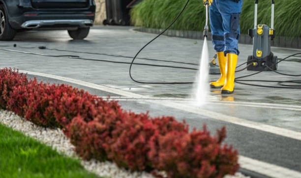 Best Pool Deck Cleaning  in Woodlawn, VA